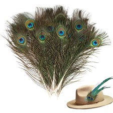 Pfauenfedern Set Natur 25-30cm