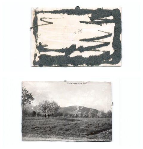 Elsass - (b88739a76),