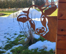 Kuh Ziege Pferd Ferkel Esel