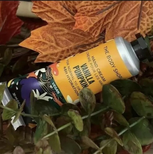 The body shop limited - body,