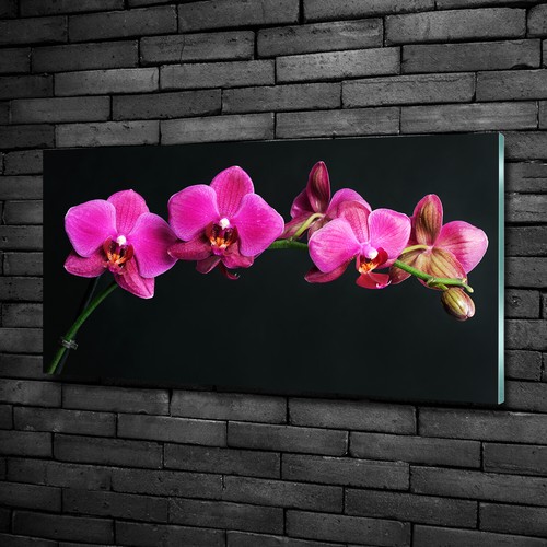 Wandbild aus plexiglas druck - wandbild,