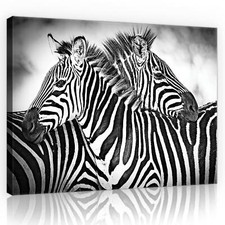 Canvas leinwand bilder xxl - canvas,