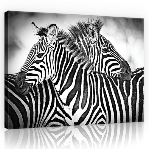 Canvas leinwand bilder xxl - bilder,