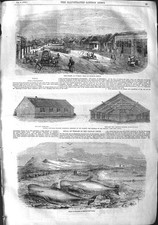 Original alter antiker Druck 1855 Durban Natal Kriegskaserne Schwarm Wale Solway