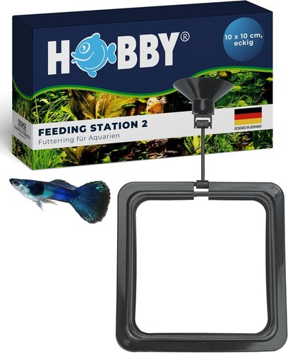 Hobby aquaristik feeding - aquaristik,