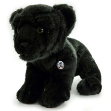 Panther Baby Leopard