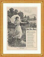 Kleider machen Leute Wohlmuth Zopf Gedicht Sonnenschirm Mode Holzstich E 18275