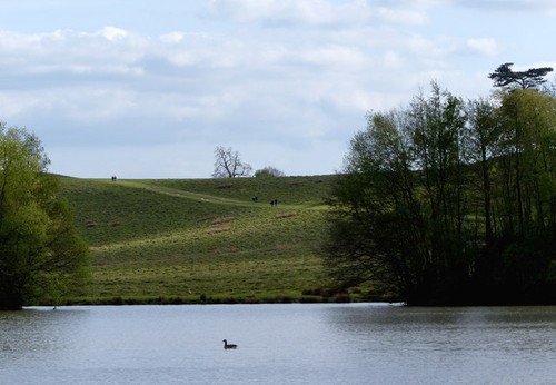 Foto 12x8 petworth park - 12x8,