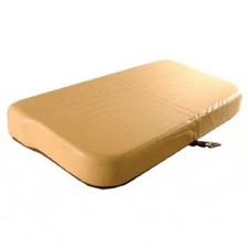 EZGO Marathon Gas Golfwagen