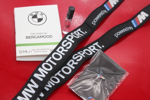 Bmw motorsport pin - motorsport, +