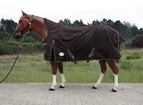 Tough horse turnout - horse,