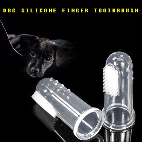 Hunde zahnbürste finger - zahnbürste,