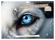 Schau mir ins Auge (Wandkalender 2026 DIN A4 quer), CALVENDO Monatskalender