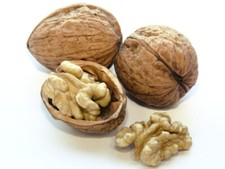 500 Gr. Walnüsse in der Schale, extra Gross, 36 mm+ Jumbo, Spitzenqualität Chile