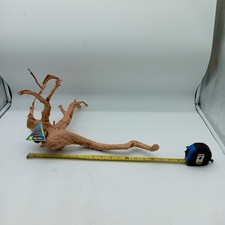 Azaleenwurzel Natur Aquarium