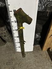 Blackthorn Shillelagh riesiger