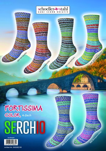 6x100 fortissima serchio - 6x100,