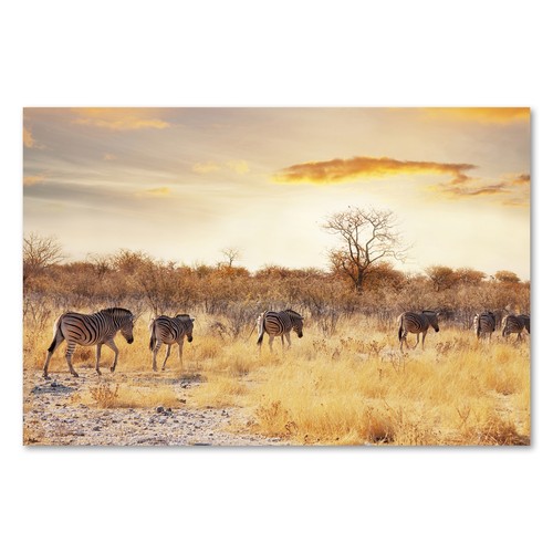 Postereck 1248 poster leinwand - poster,