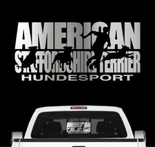 American Staffordshire Terrier