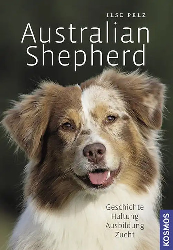 Australian shepherd - australian,