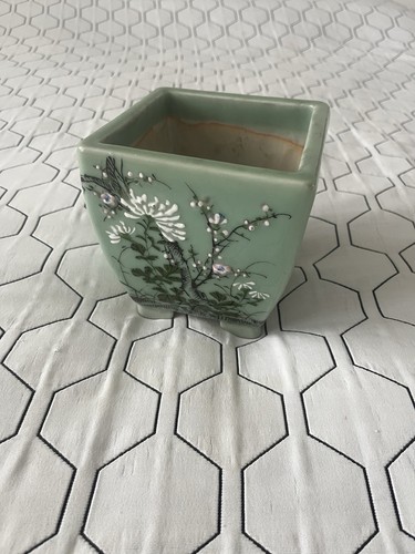 Exklusiver bonsai aus seladon - exklusiver,