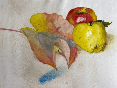 Aquarell stillleben mit - stillleben,