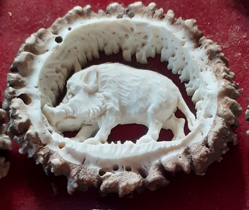 Hirschhornrose geschnitzt - hirschhornrose,