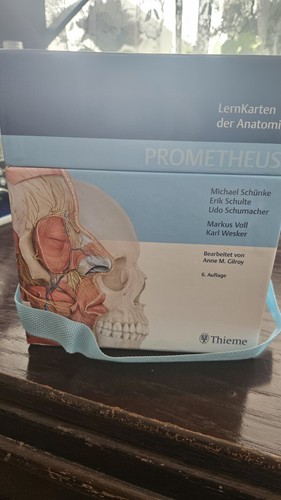 Anatomie lernkarten - anatomie,