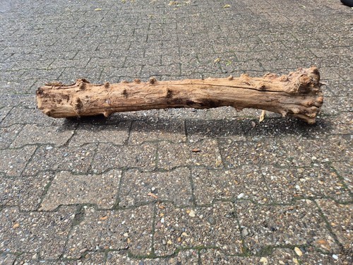 Deko skulptur baumstamm holz - baumstamm,
