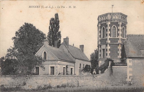 Cpa mosnes pin - 37, le