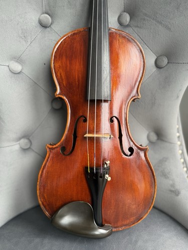 1885 english violin - 1885,
