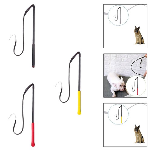 Hundetraining mit der
