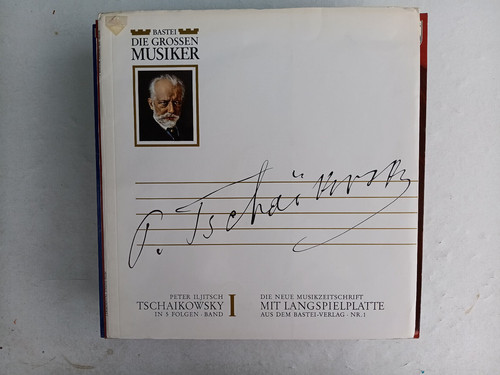Schallplatte vinyl bastei - schallplatte,