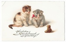 AK Herzlichen Glückwunsch Geburtstag Katzen Babys bewundern Teddy Ansichtskarte 