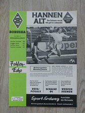Fohlen echo borussia - fohlen,