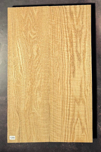 Sassafras gitarren korpus - sassafras, |