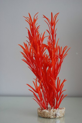 Aquarium orange seegras - aquarium, x