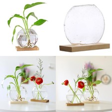 Glasvase, Glaspflanzgefäß