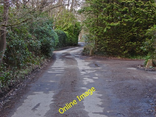 Photo 6x4 hollybush ride - hollybush,
