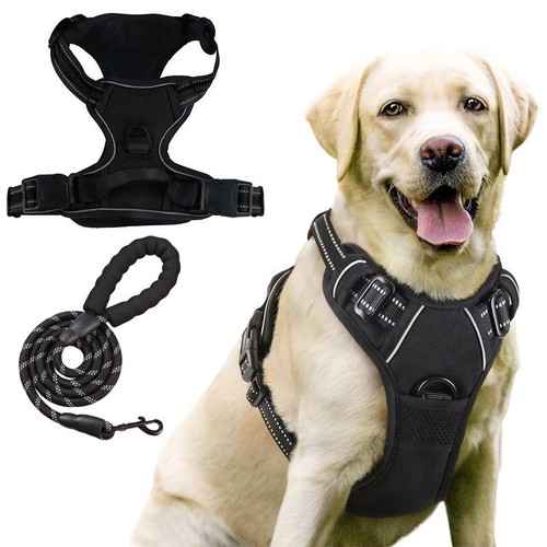 Hundegeschirr