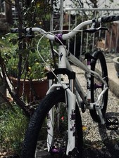 Specialized Dirt-Jump Bike