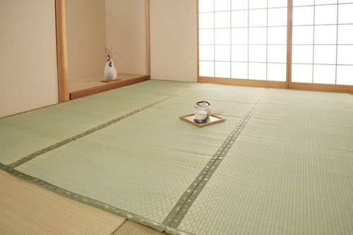 Ikehiko japanisches binsengras - japanisches,