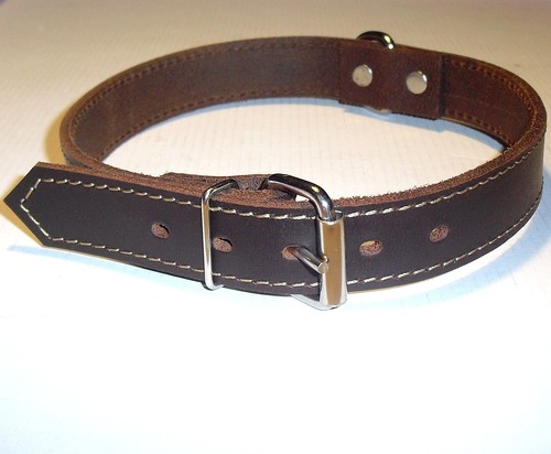 Hundehalsband leder hunde - leder,