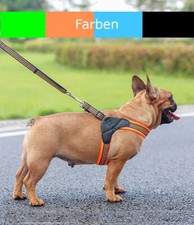 Hundegeschirr brustgeschirr - hundegeschirr,