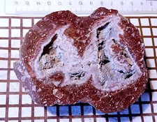 Dörrkopf große halbe