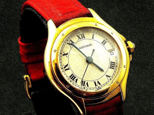 Cartier panthere cougar - cartier,