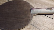 Stiga Titanium 5.4 WRB Peter Holz gerade Tischtennis