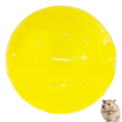 Ein farbenfroher hamsterball - ein,