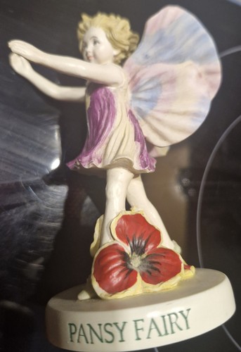 Flower fairies pansy - -,