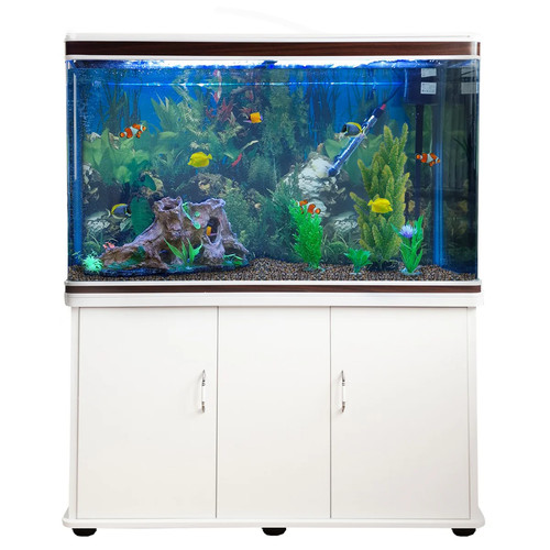 300l 4ft aquarium - aquarium,